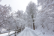 SumavaCervenaUnor2026 - 023